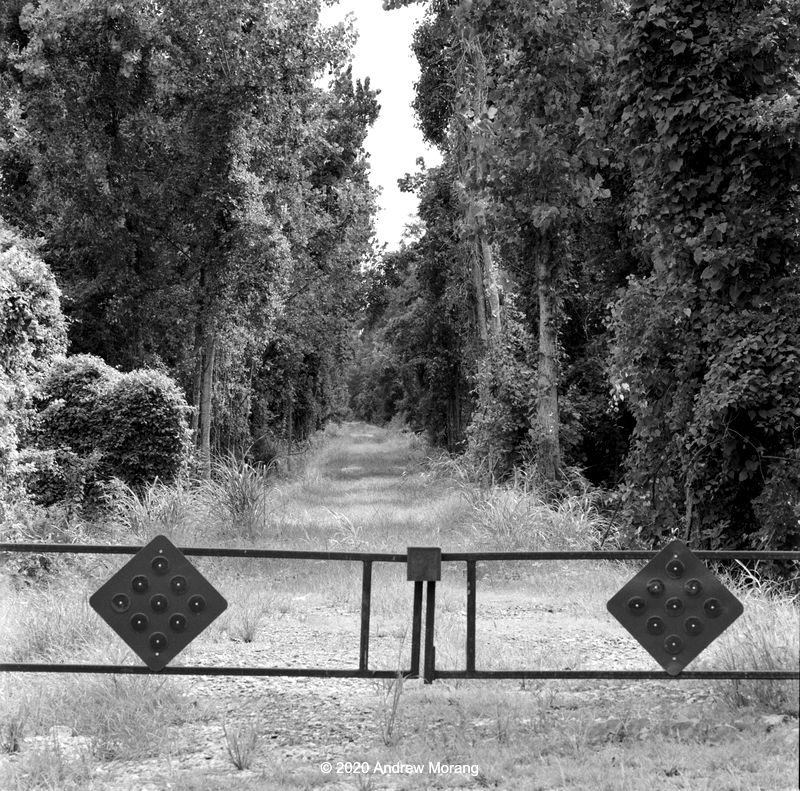 20200827f_Embankment_WillowDr_Vicksburg_MS_250mm_resize.jpg