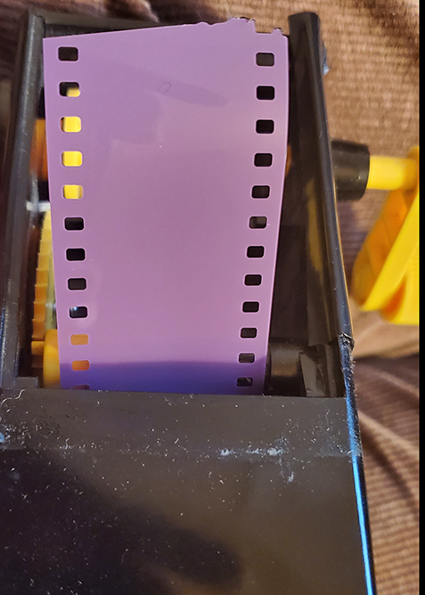 20210318_222609-(1)-sm.jpg
