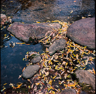 20211031 Colorado Boulder Agfa Isolette-008.jpg