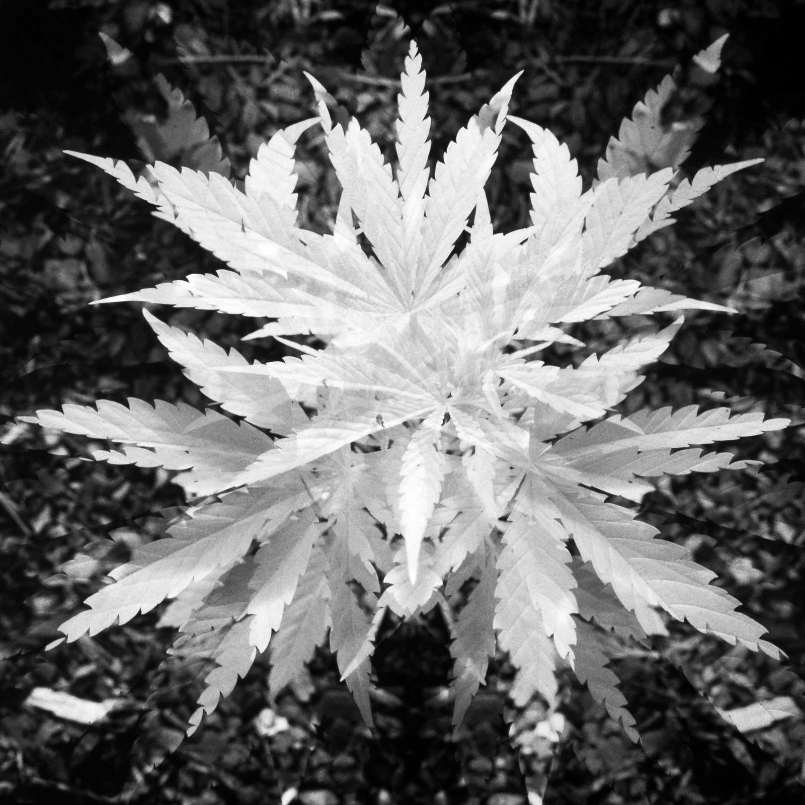 2022-01-15_08-36-53.jpg