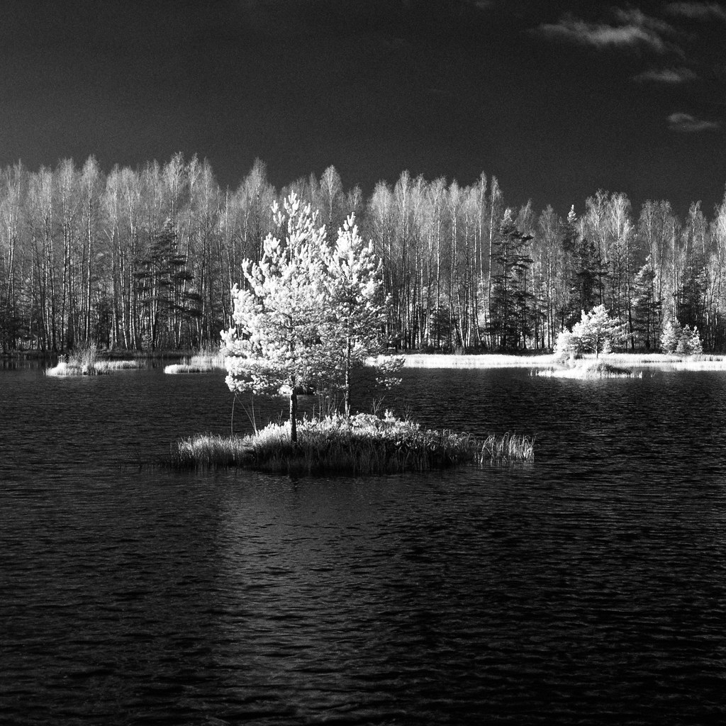 2022-01-15_08-39-02.jpg