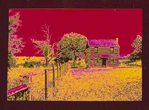 2022-08-01-0001.jpg