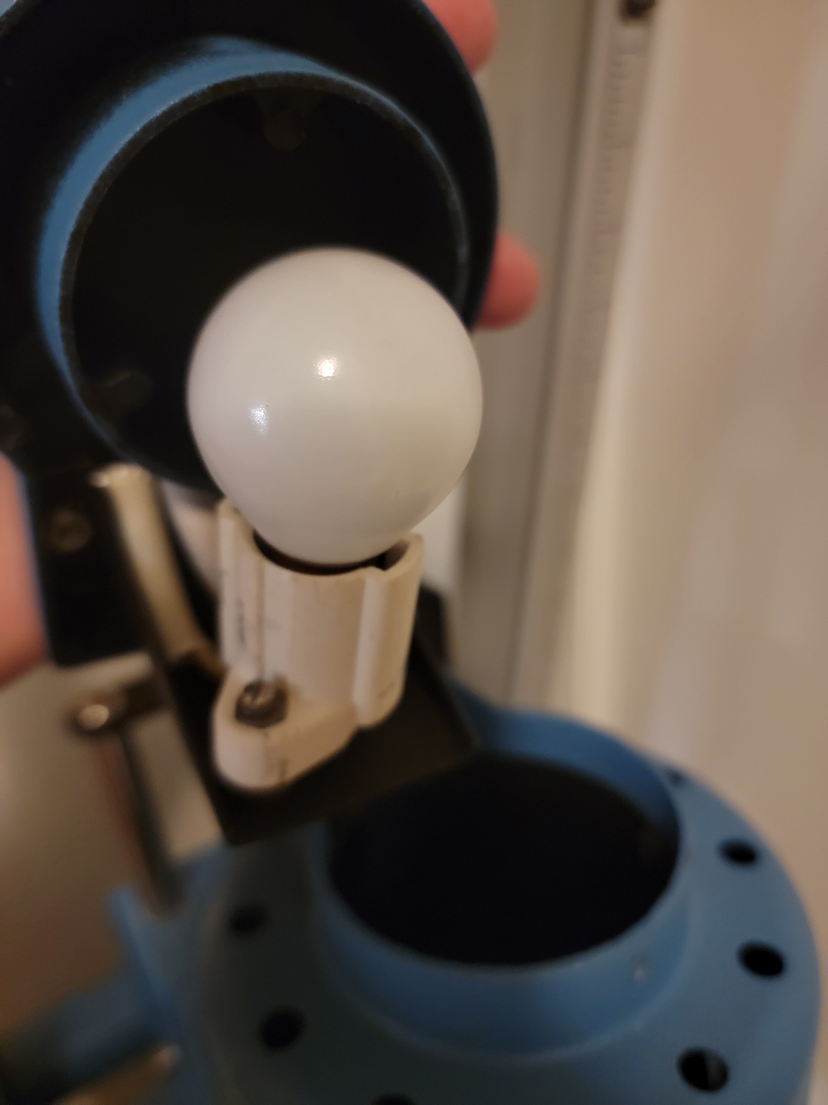 20220313_175736.jpg