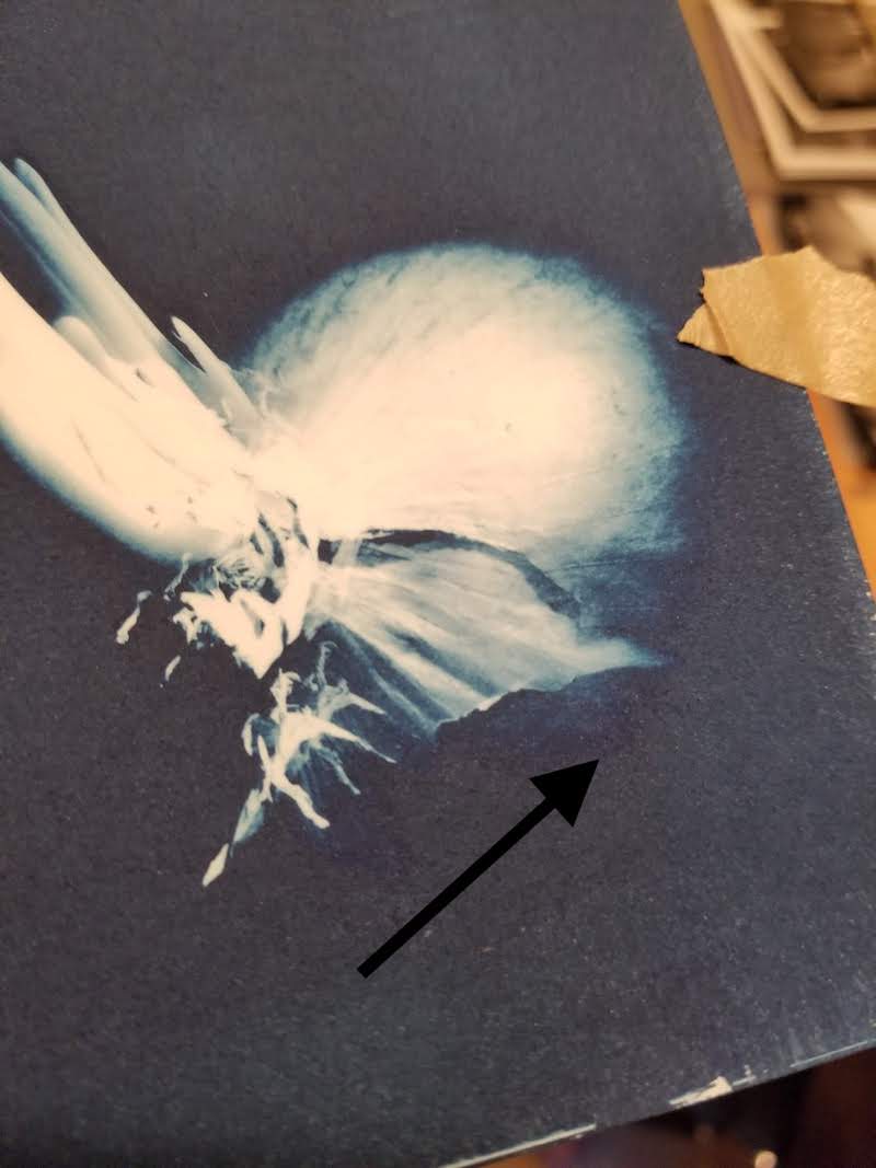20220830_193603.jpg