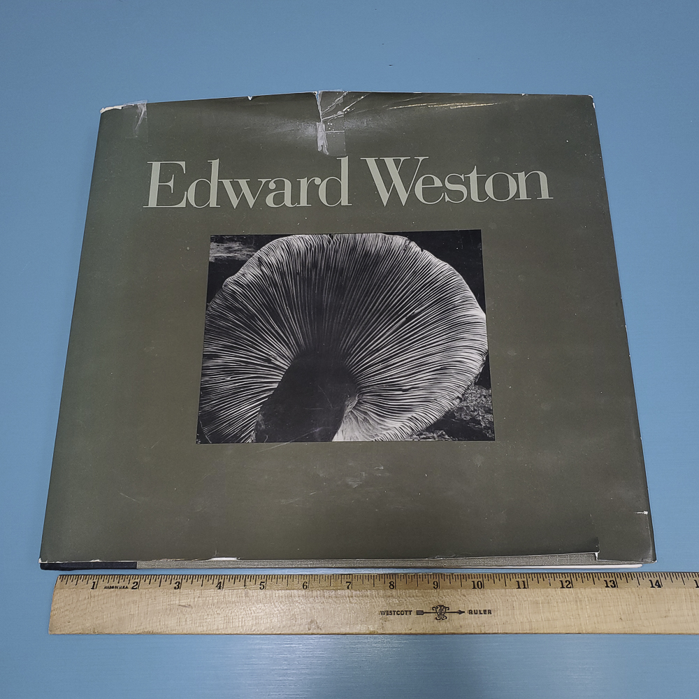 20221001_161843 1000.jpg