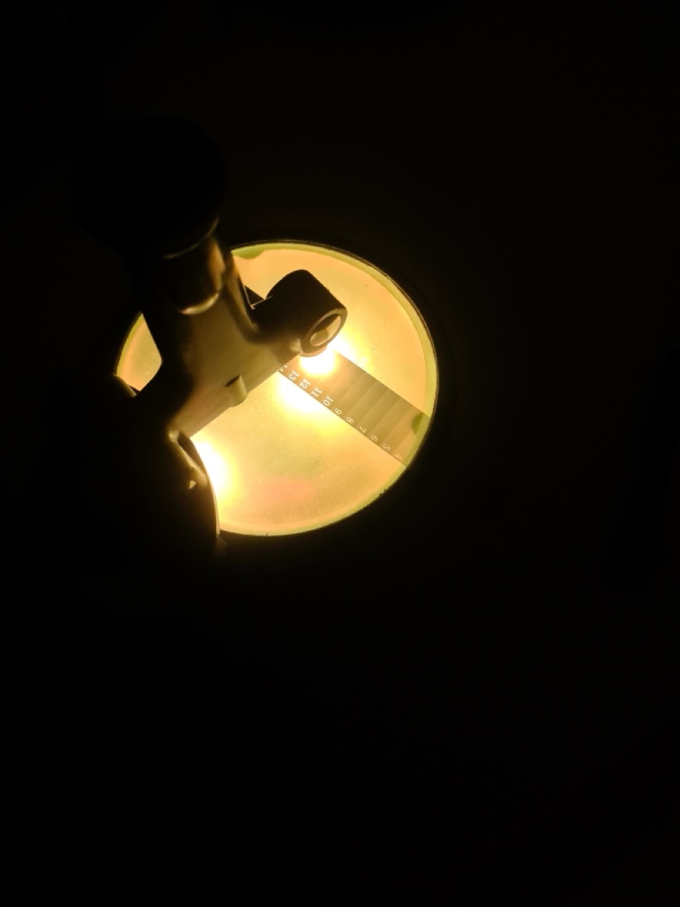 20230120_222542 Large.jpeg