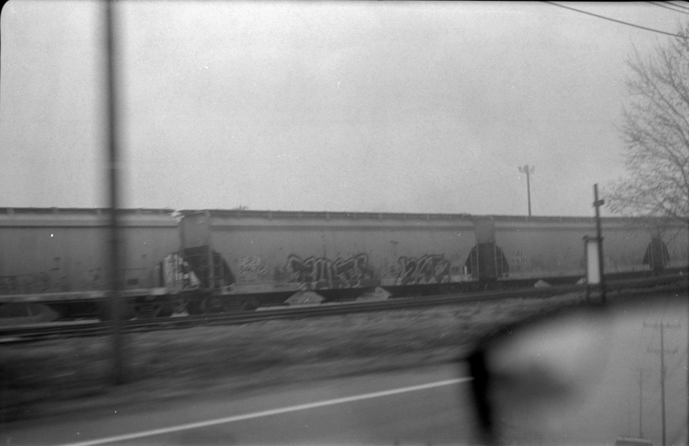 20230314B-0007.jpg