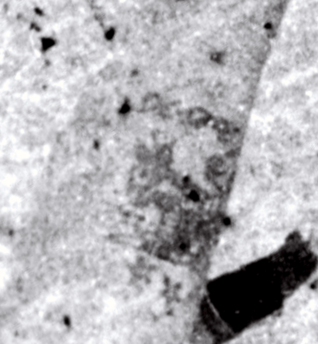 2024-10-01-0003-3.jpg