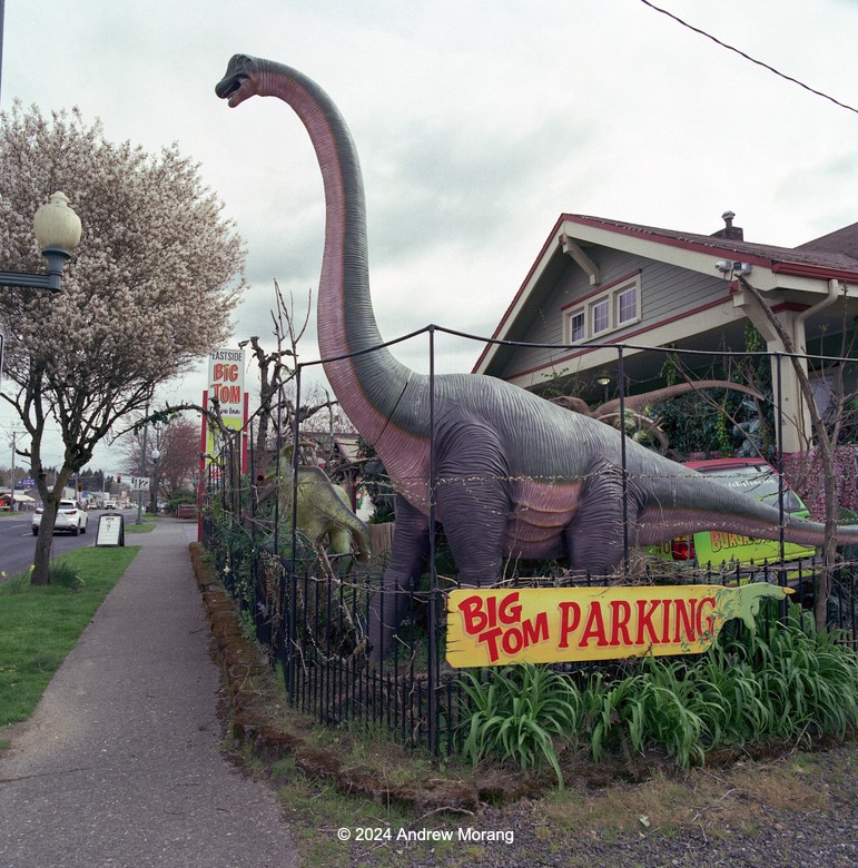20240424a_BigTom_4thAve_Olympia_WA_cleaned_resize.jpg