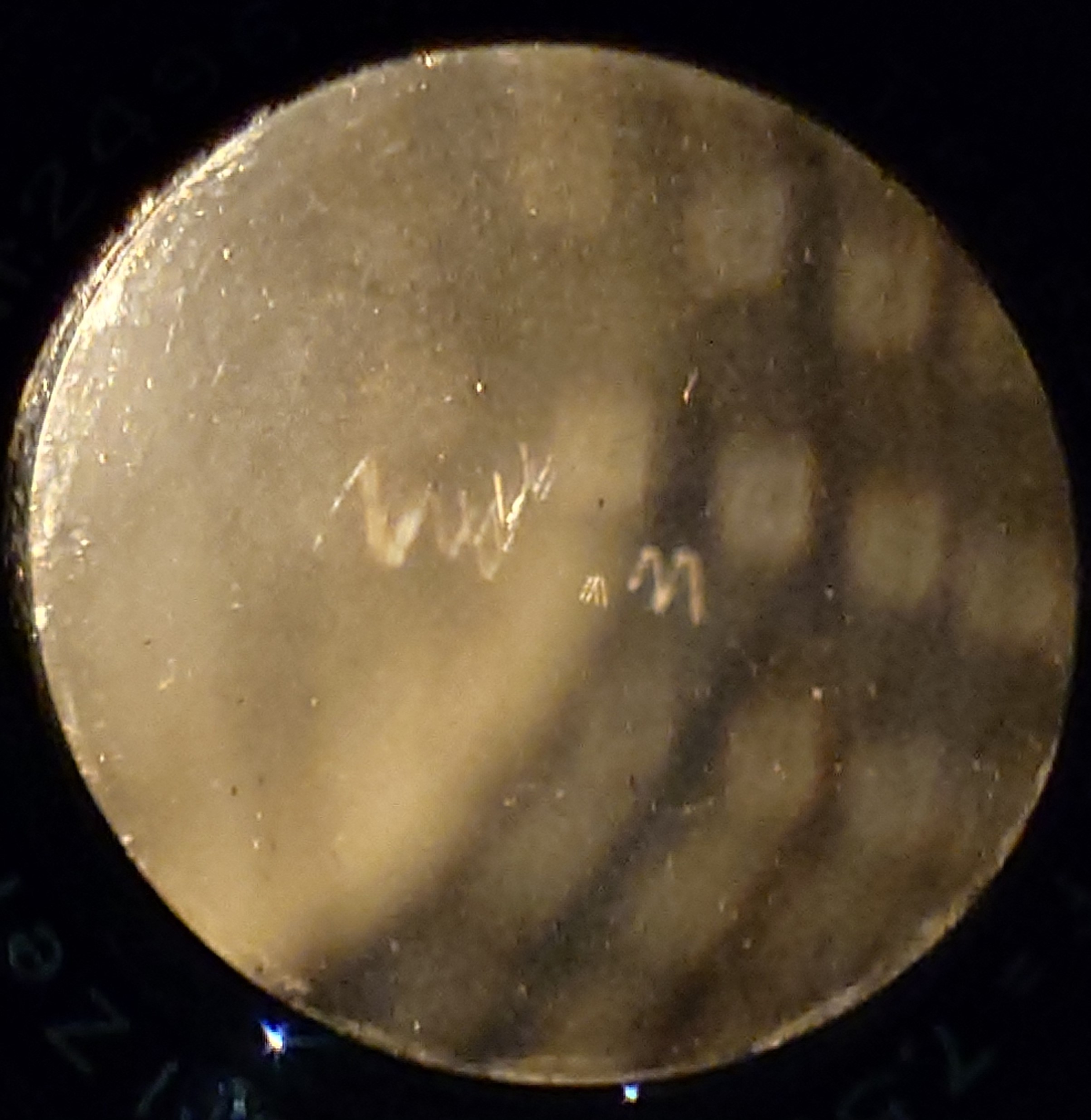 20241108_1651080.JPG