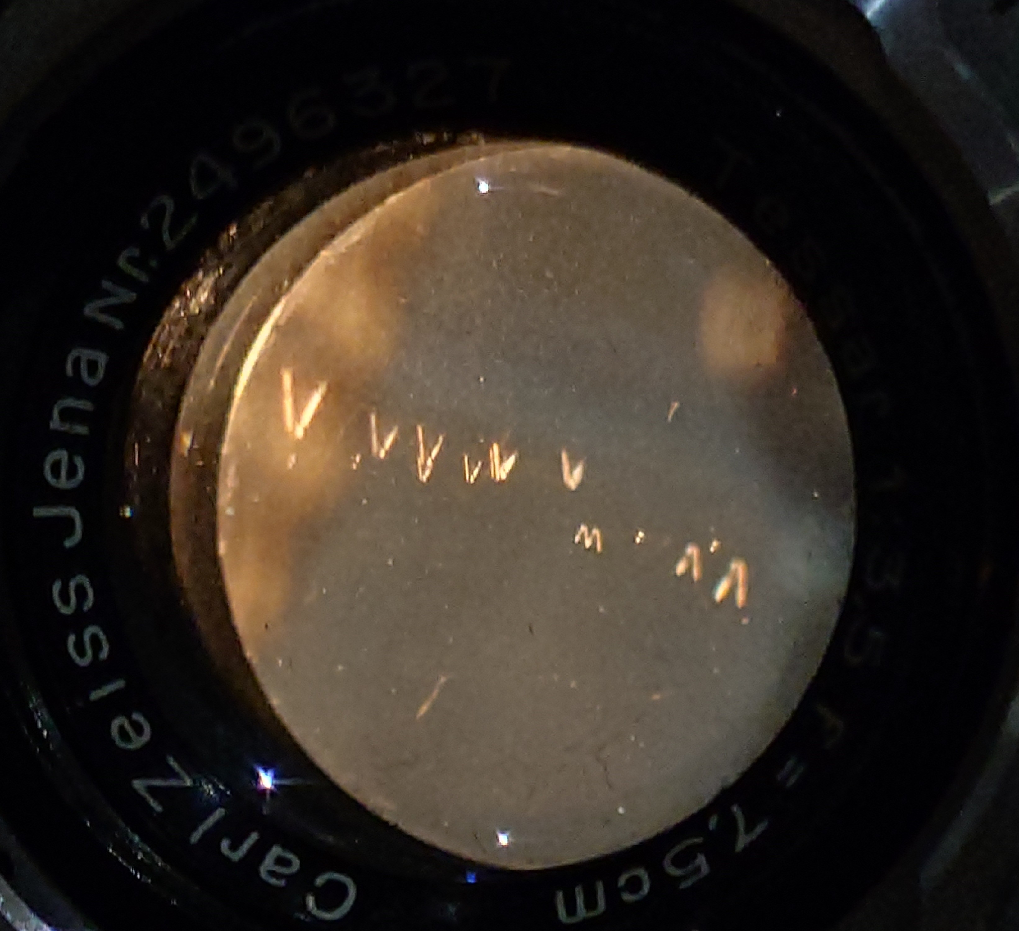 20241108_1651280.JPG