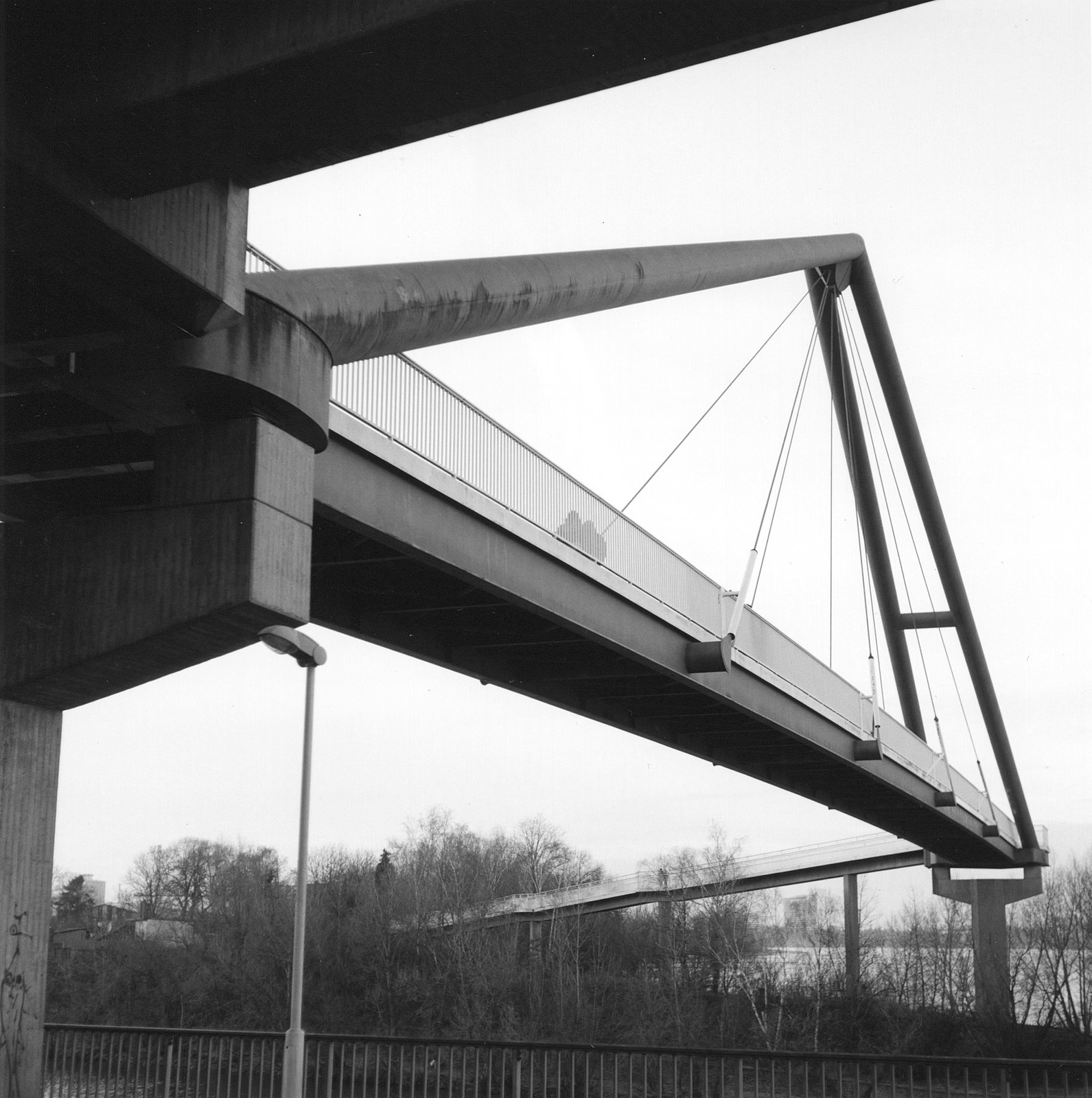 2025-07-11a.jpg