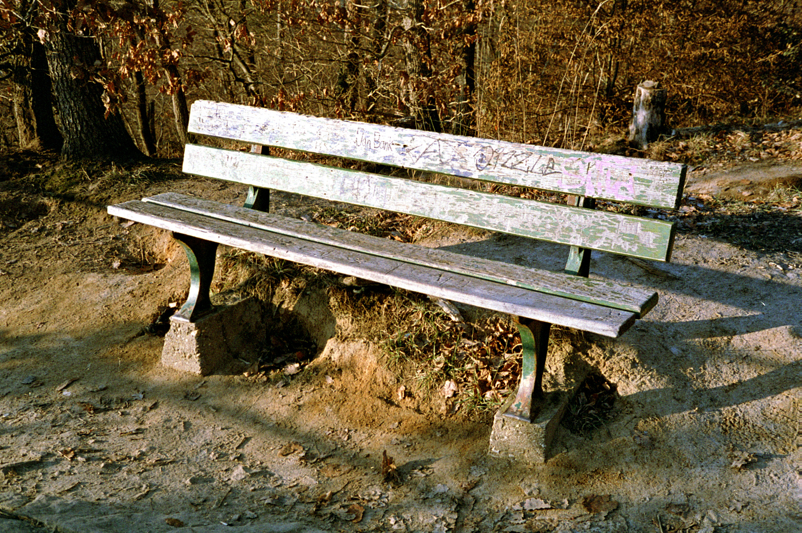 2025-79-09-a.jpg