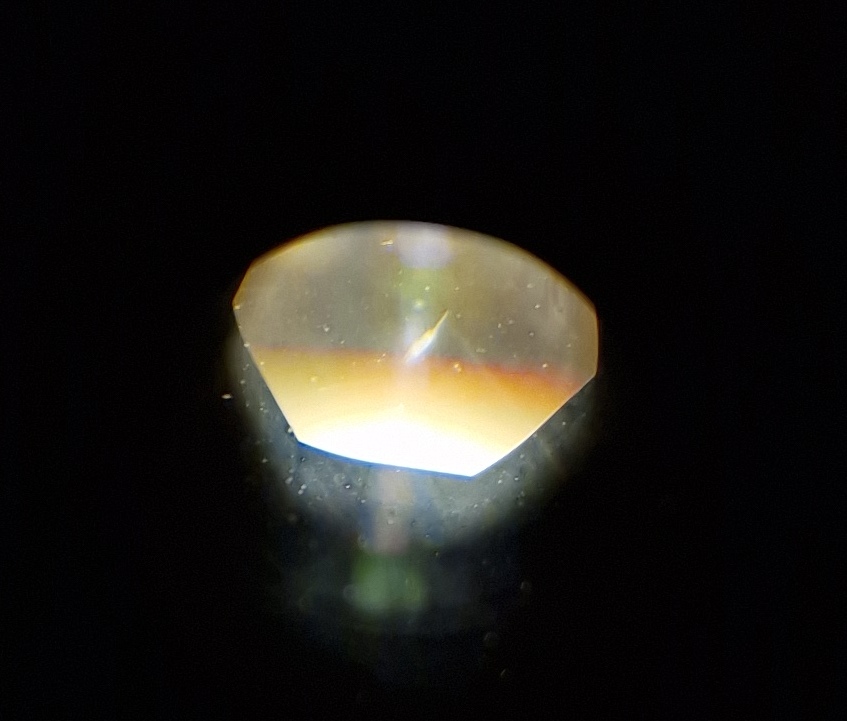 20250123_023658.jpg