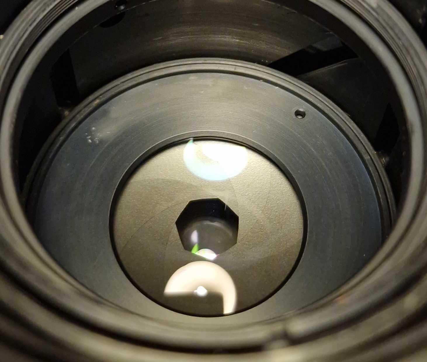20250123_071412.jpg