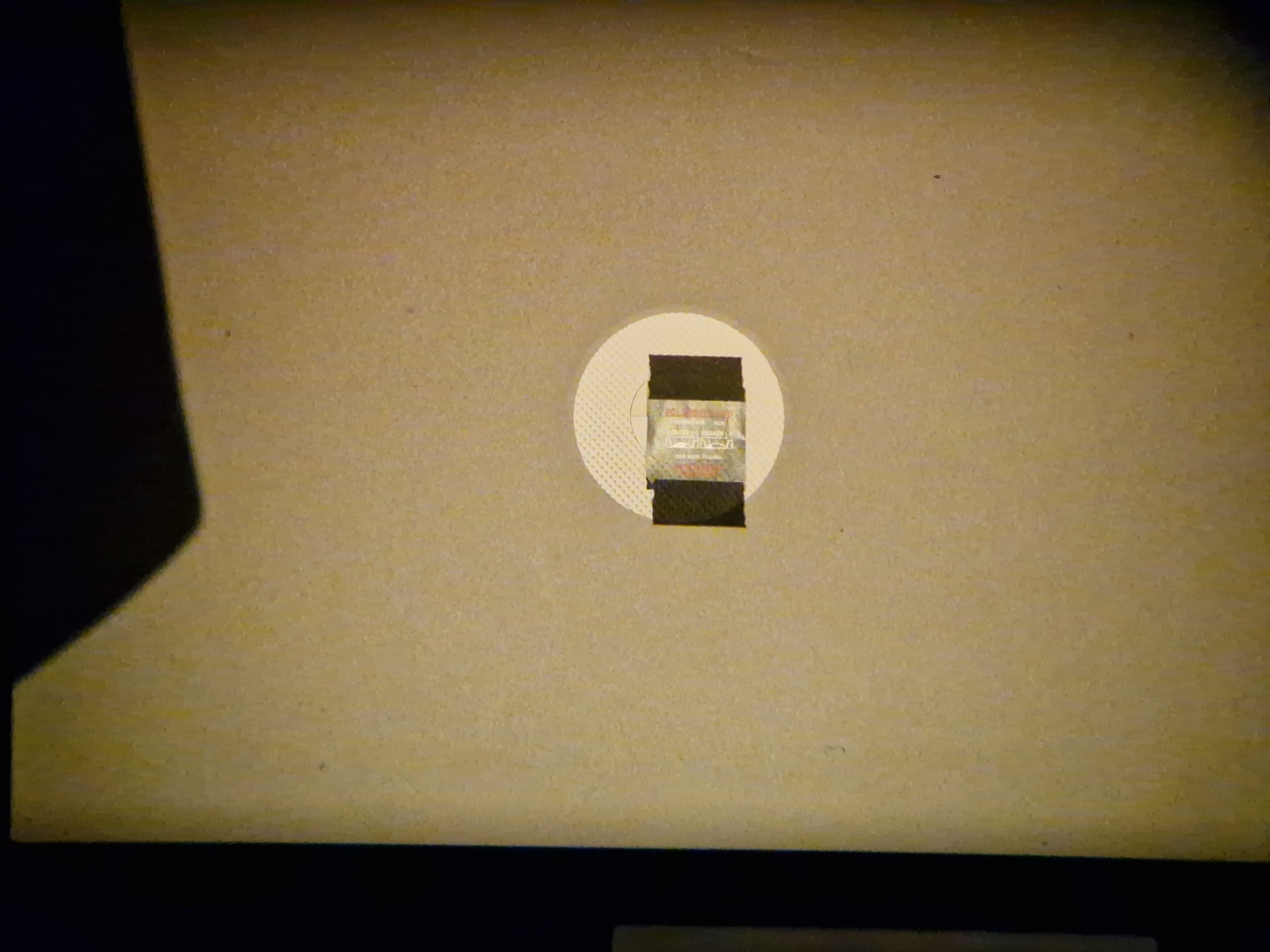 20250211_130239.jpg