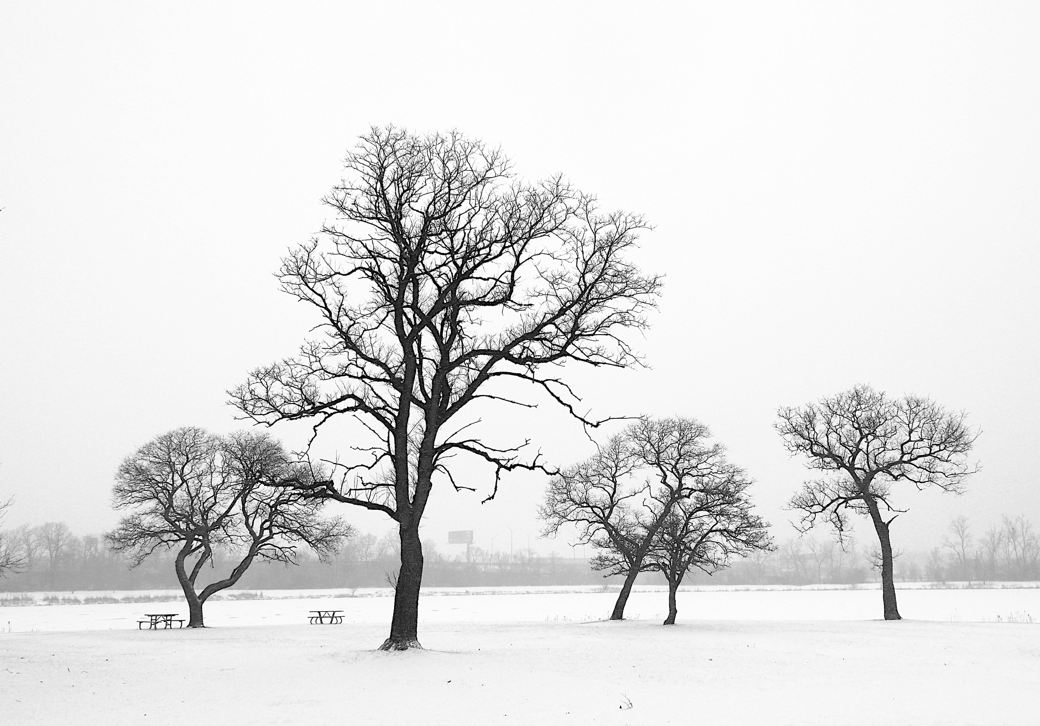 20250212-0003-Snow_Day.jpg