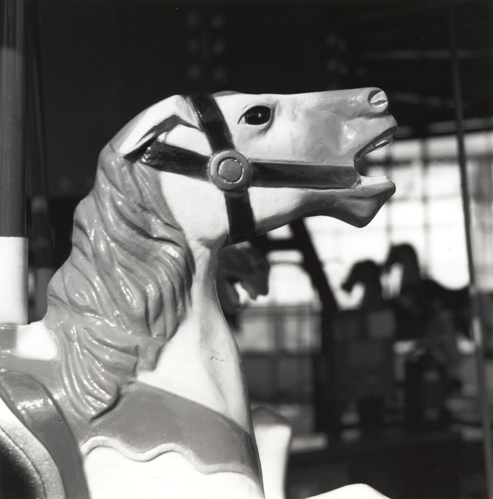 20250604-1-01-Horsing_Around.jpg