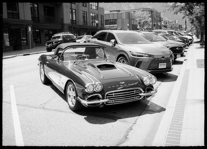 20250619  Ferrania Orto.jpg