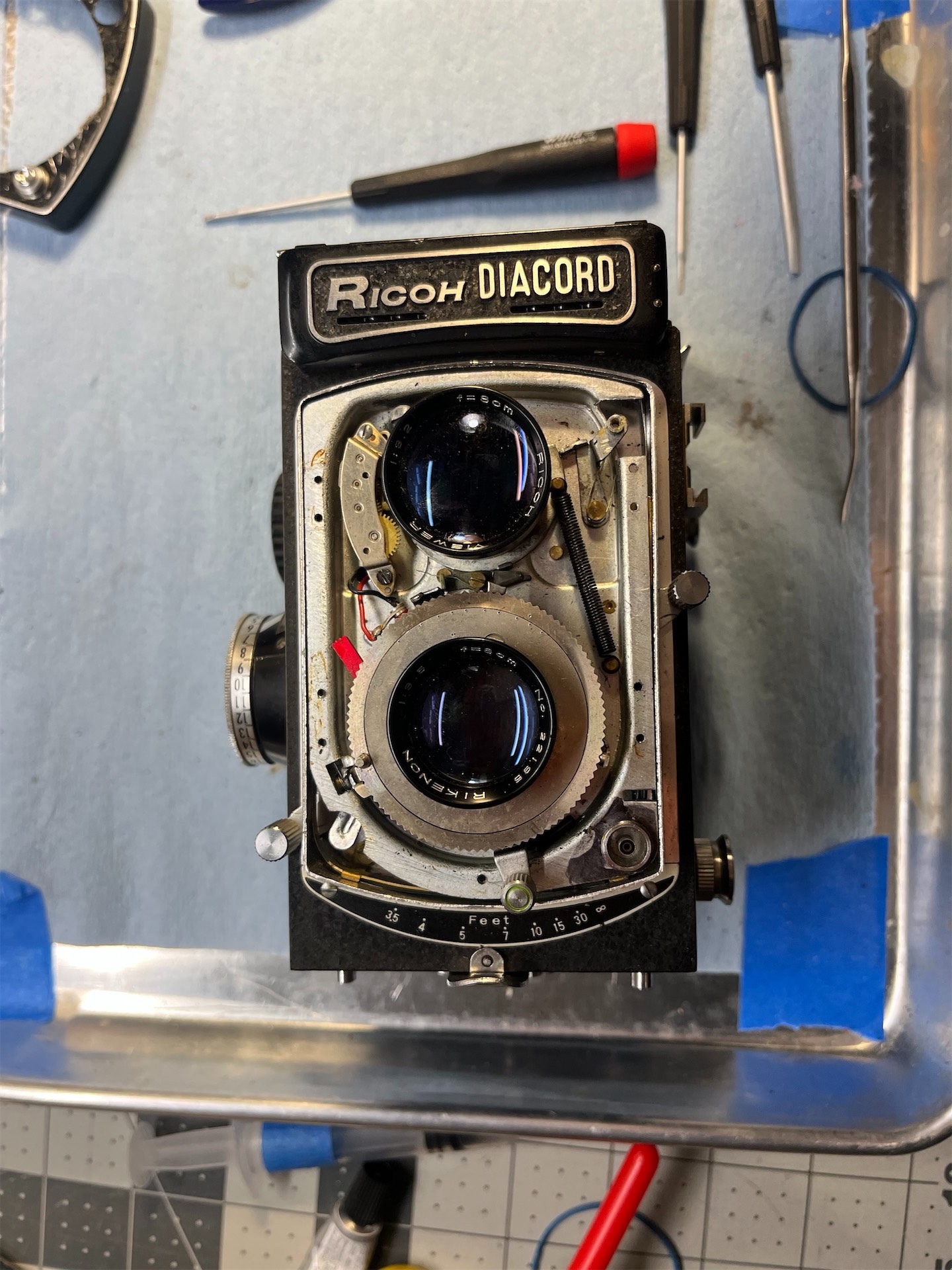 2026-02-19 19.46.34.jpg