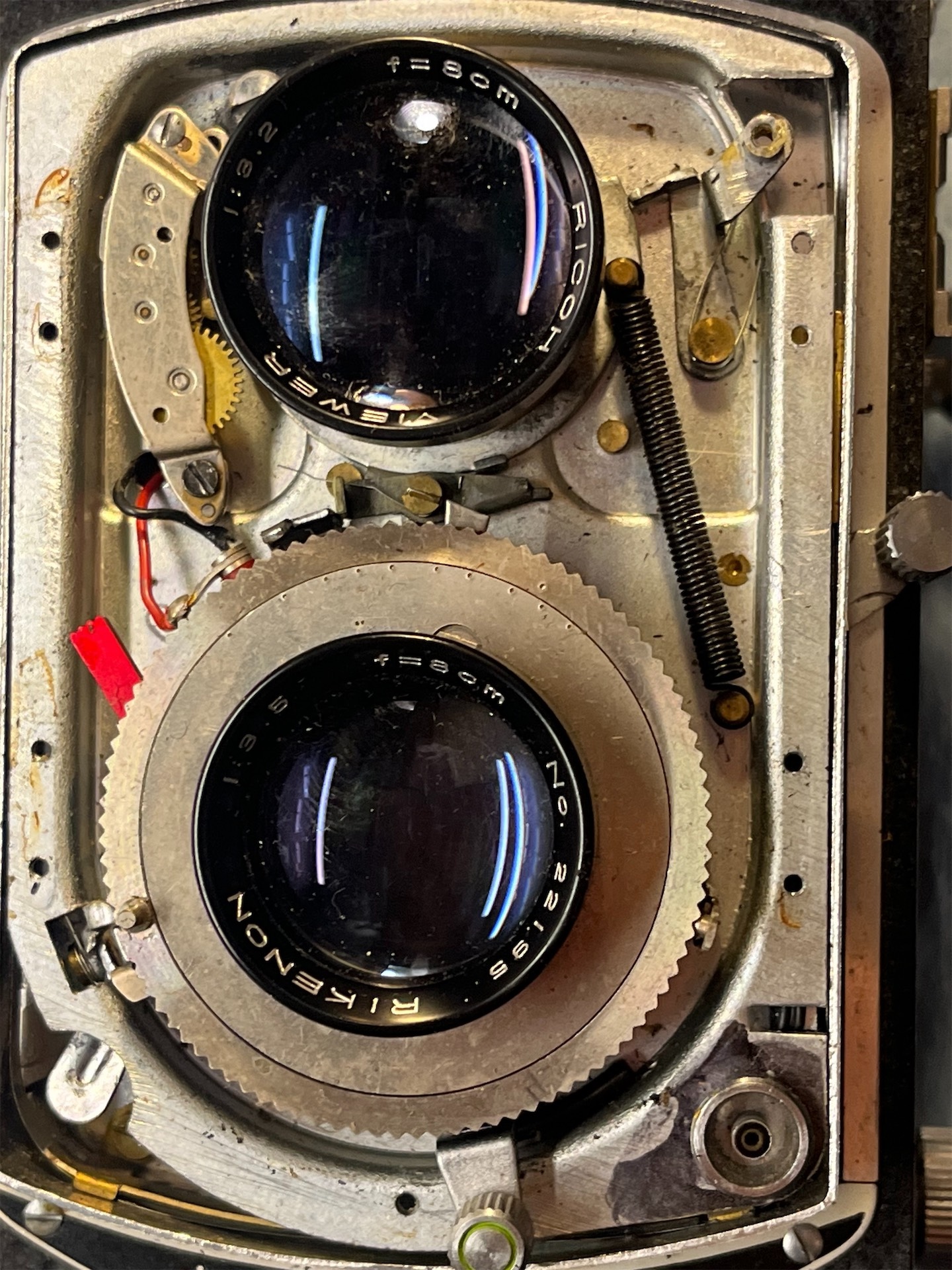 2026-02-19 19.46.38.jpg