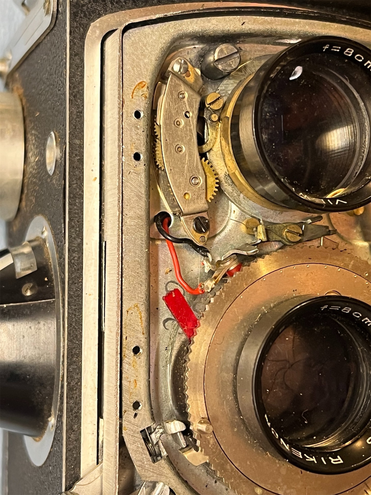 2026-02-19 19.46.40.jpg