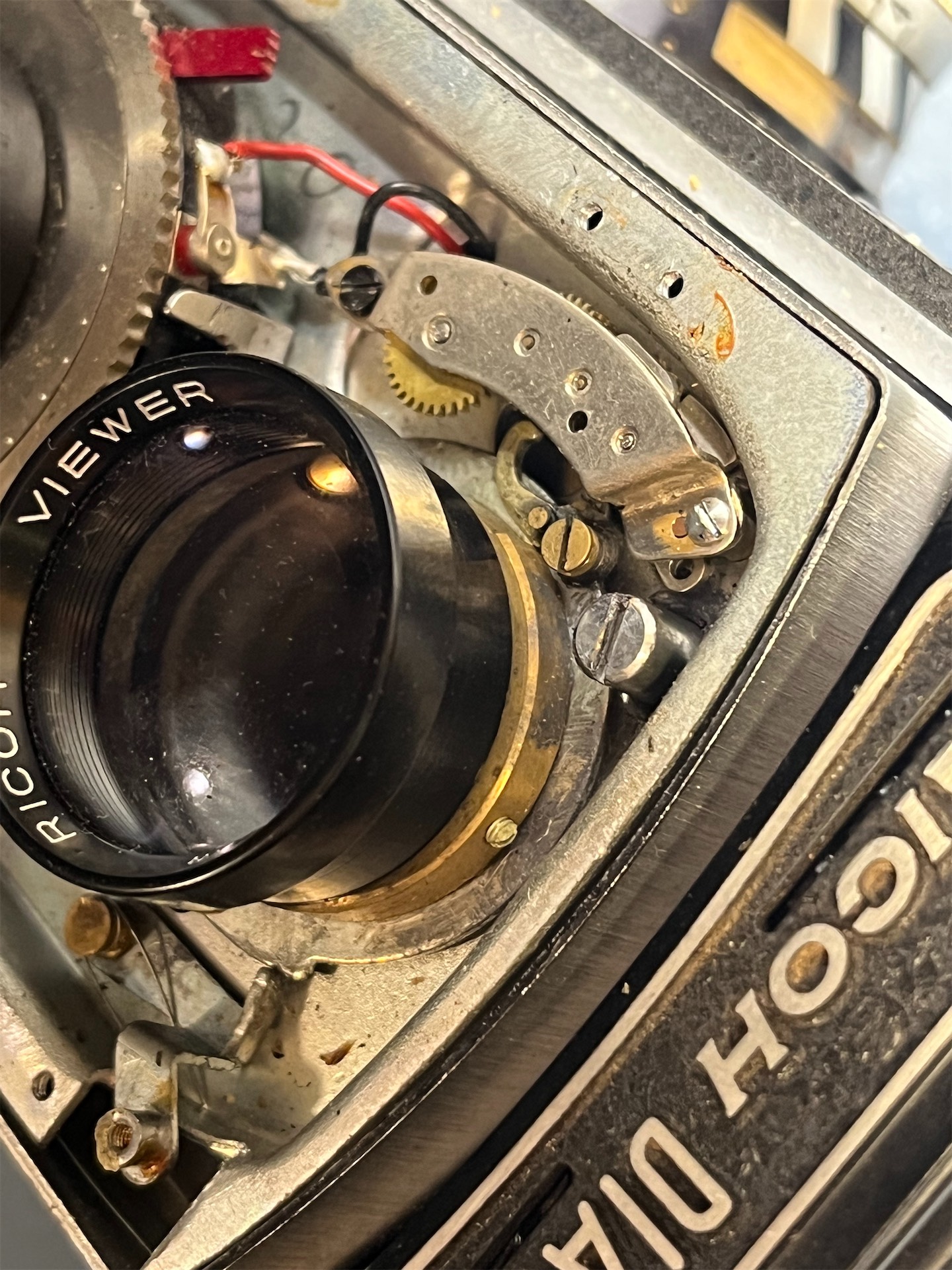 2026-02-19 19.46.45.jpg