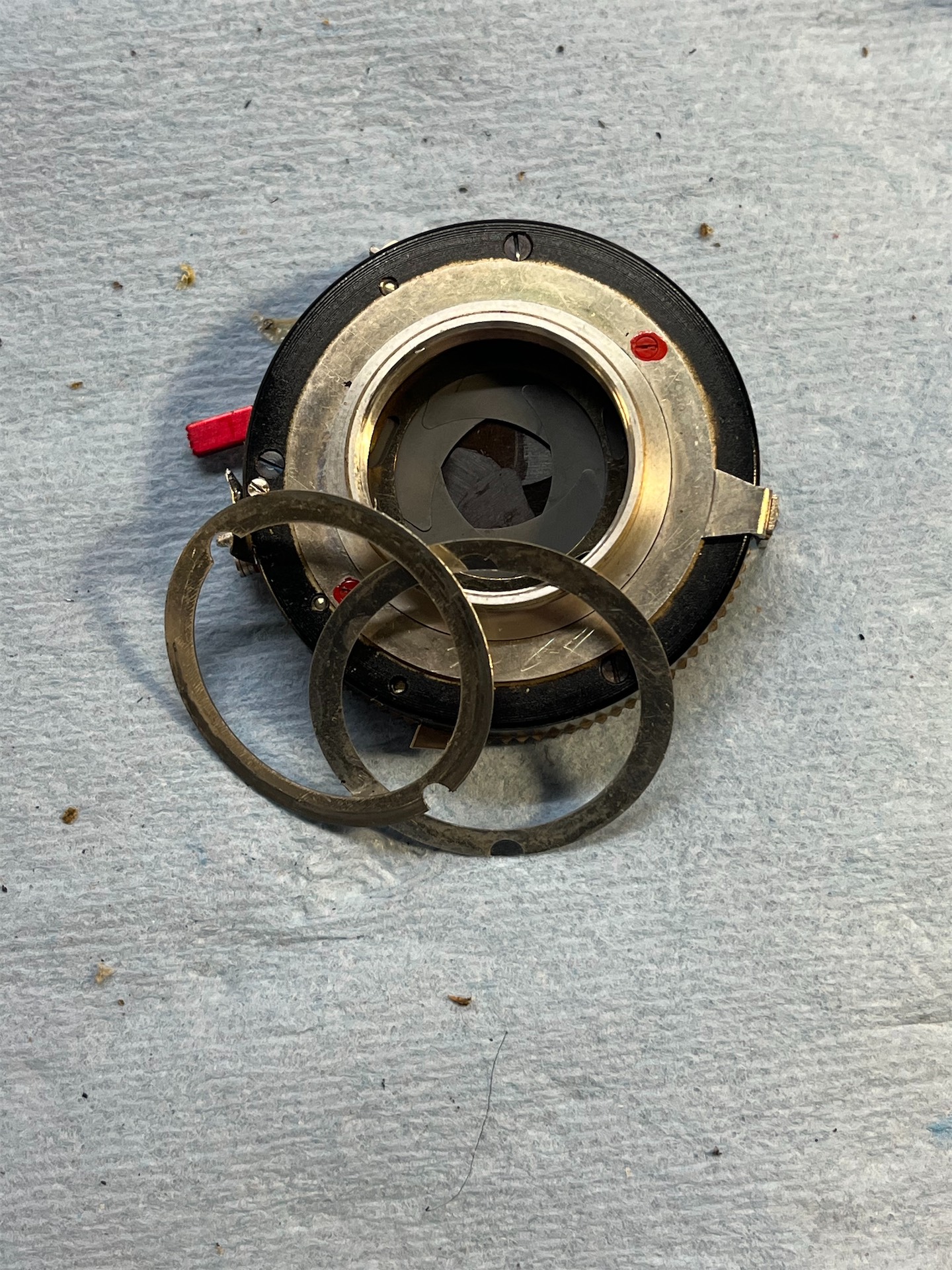 2026-02-19 19.56.31.jpg