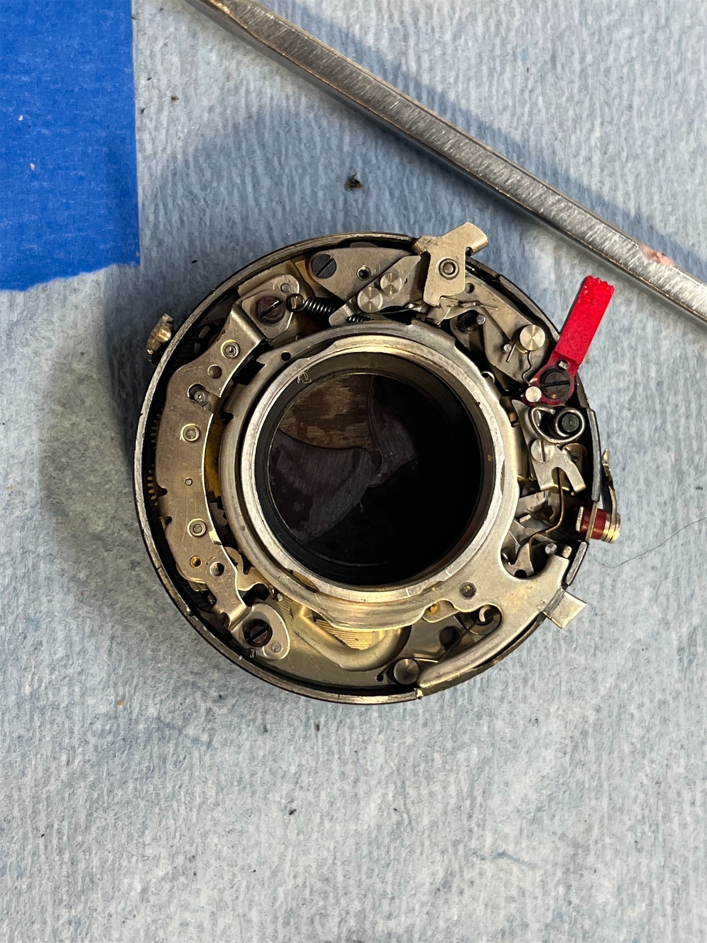 2026-02-19 20.01.02.jpg