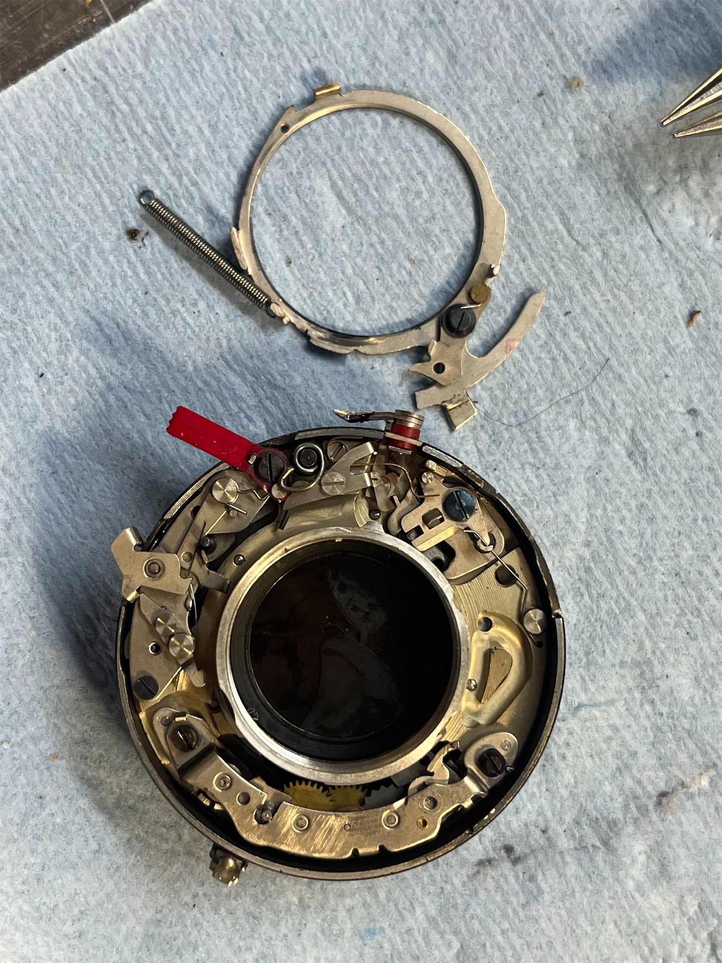 2026-02-19 20.02.16.jpg