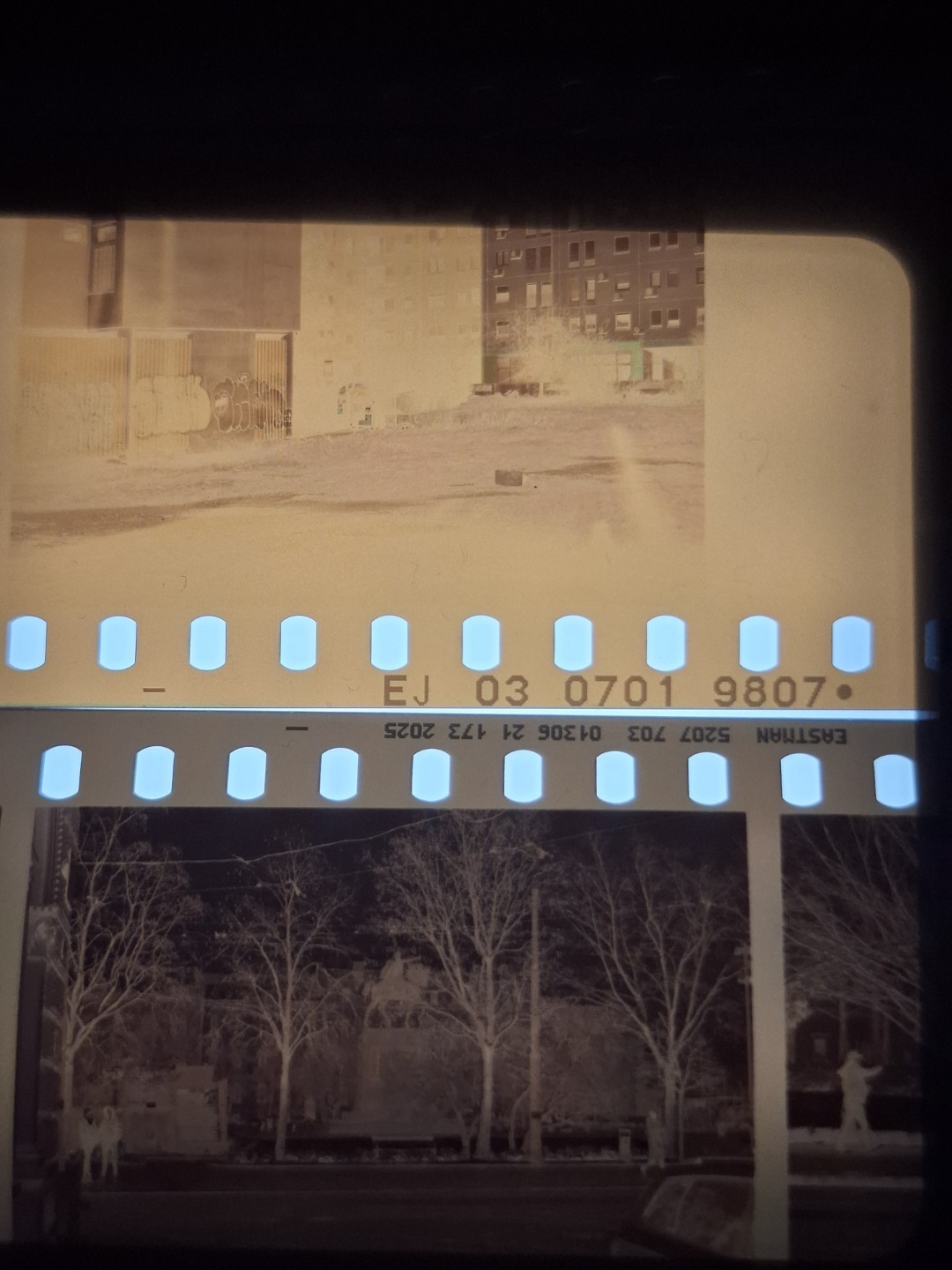 20260218_210137 (Large).jpg