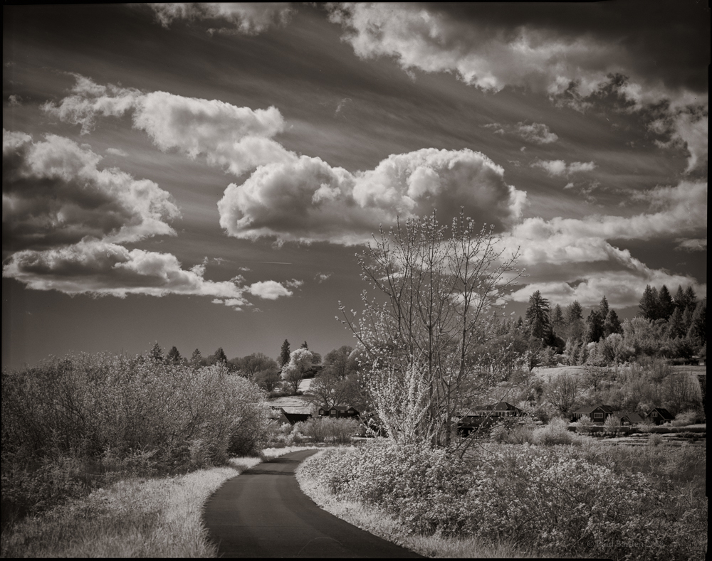 203mm.ektar.IR.jpg