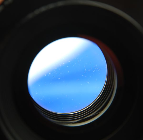210_Macro_Sironar_9.jpg