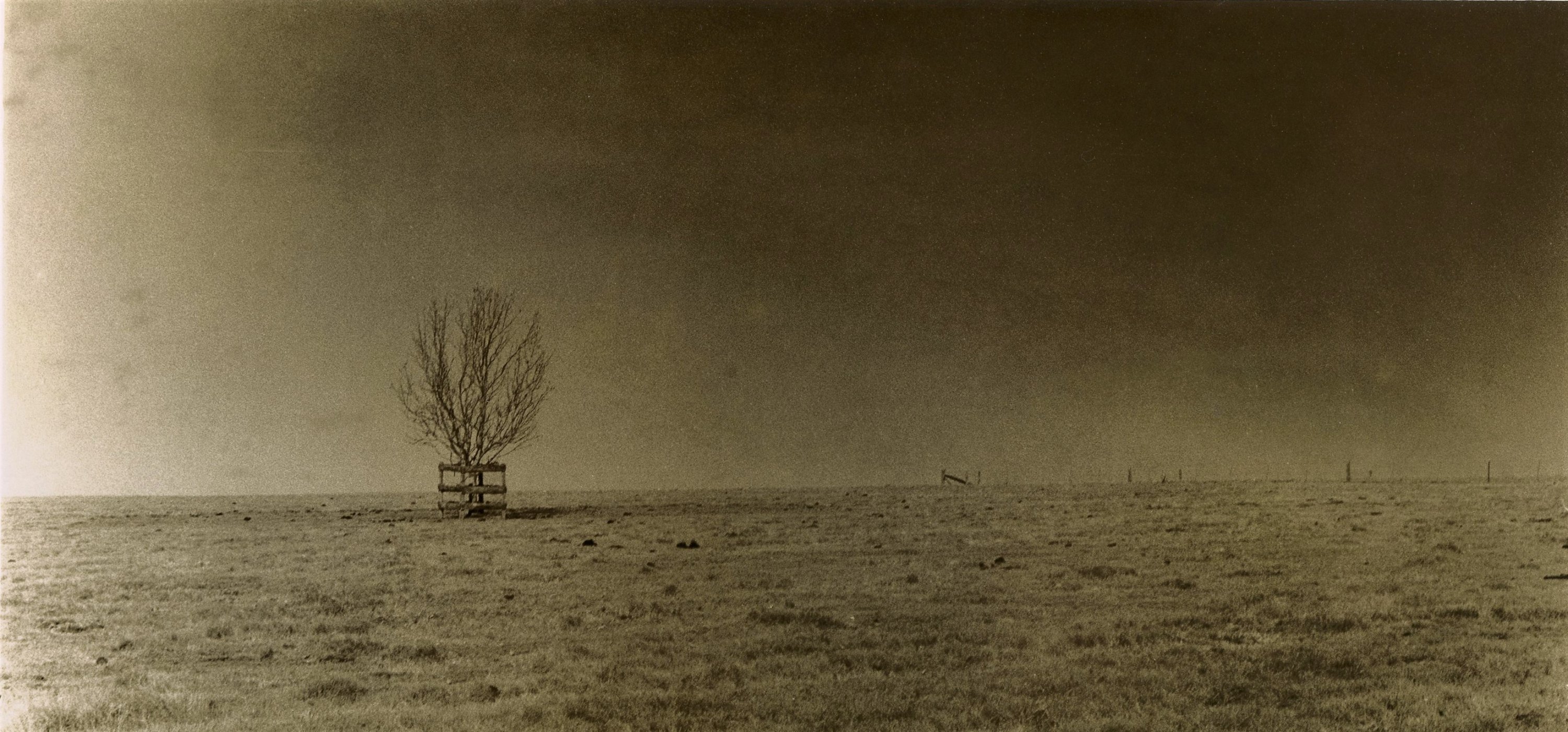 22 08 18 ilford rcvc selenium vanadium bruno fp4489 b (2).jpg