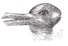 220px-Duck-Rabbit_illusion.jpg