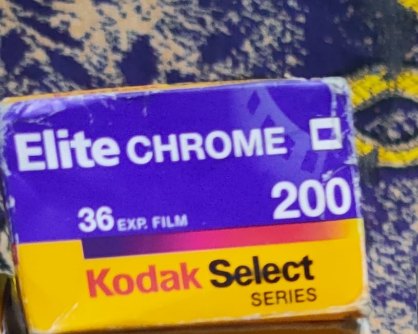241993772_589983725694455_7951010435496646704_n.jpg