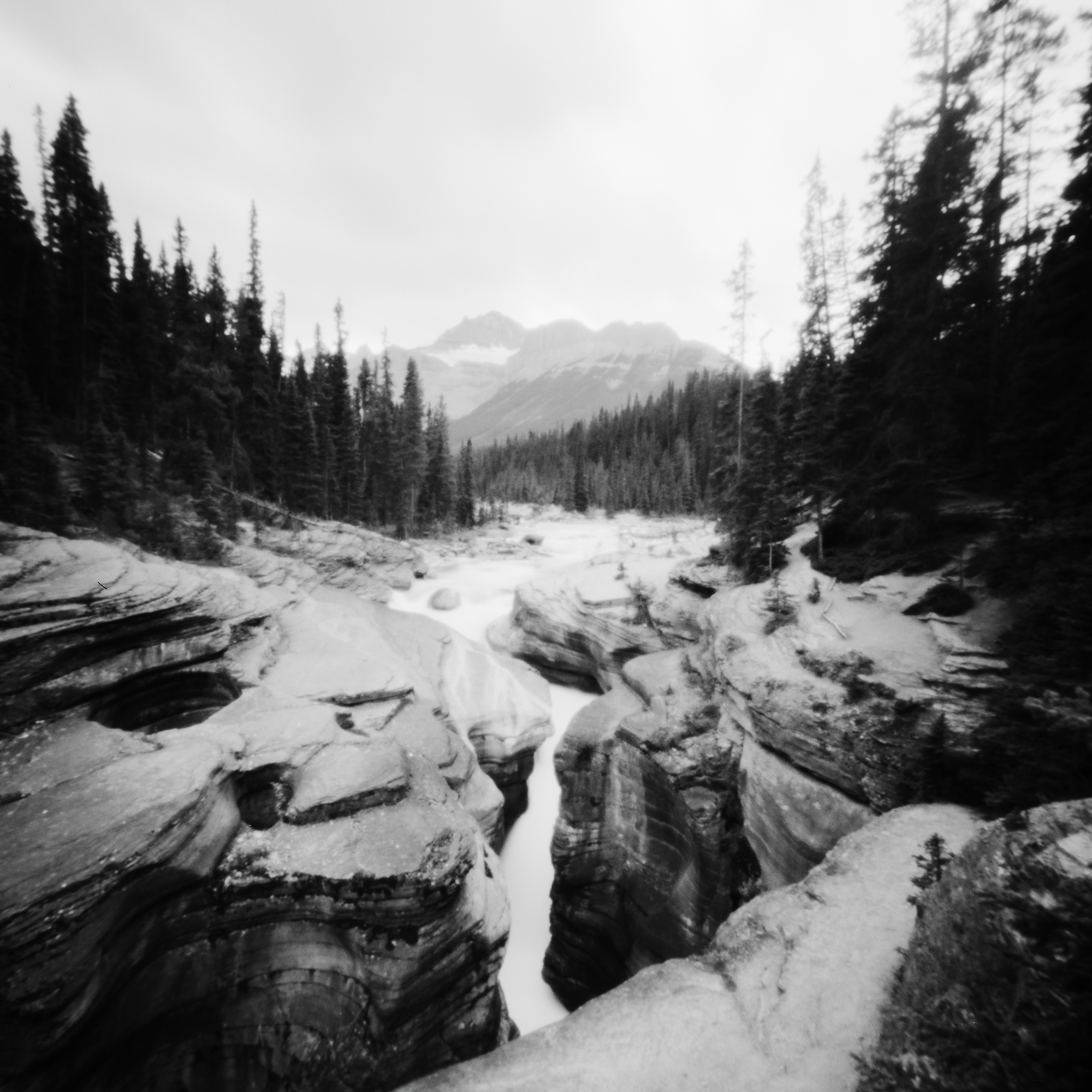 2510030010____ - small.JPG