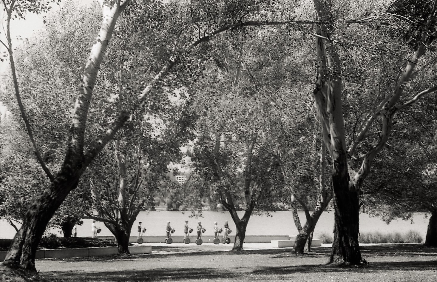 28 03 21 fp4 200 iso284 (3).jpg