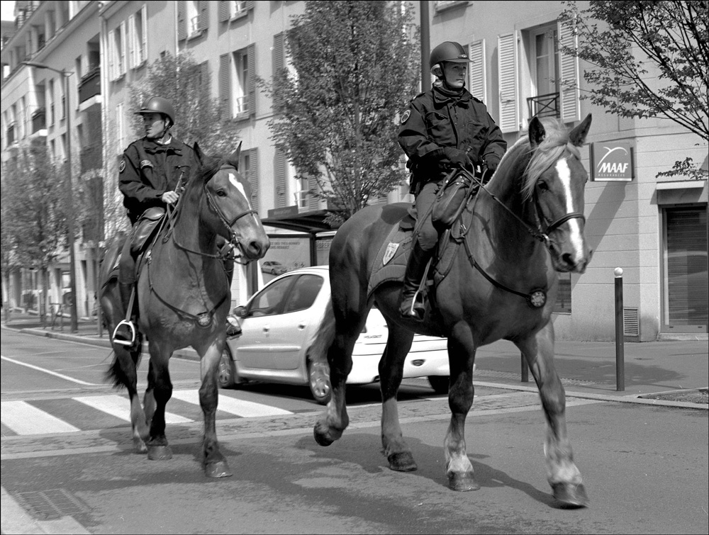 2chevaux.jpg