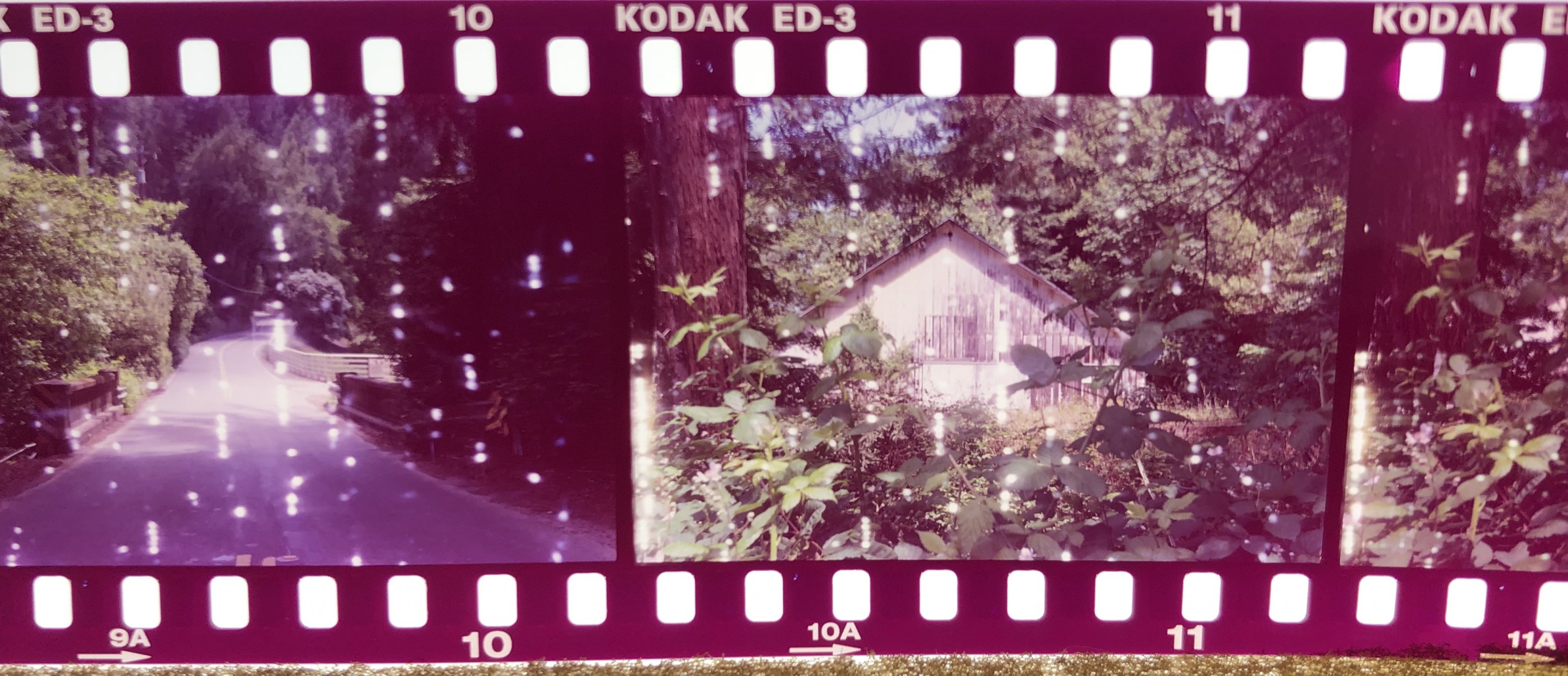 324CA7AA-D4DE-4769-9FDC-C763321B327A.jpeg