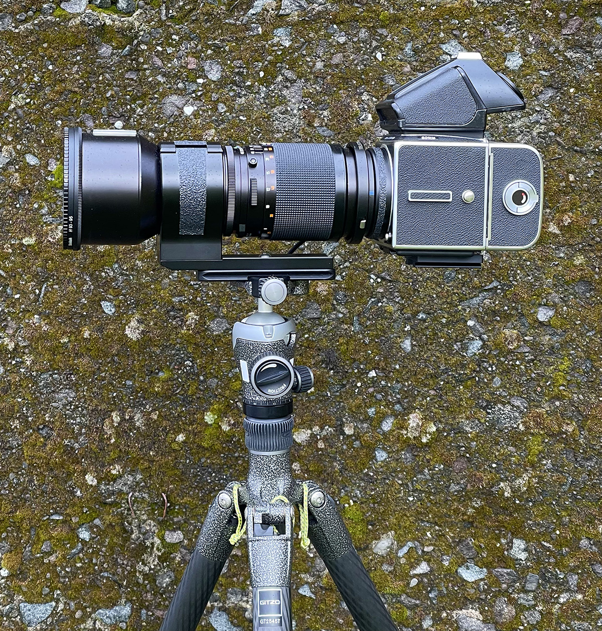 350.jpg