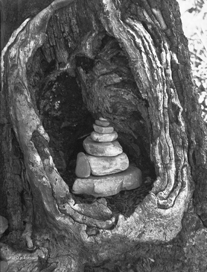 4.2 - Tree&Rcks Psh800 .jpg