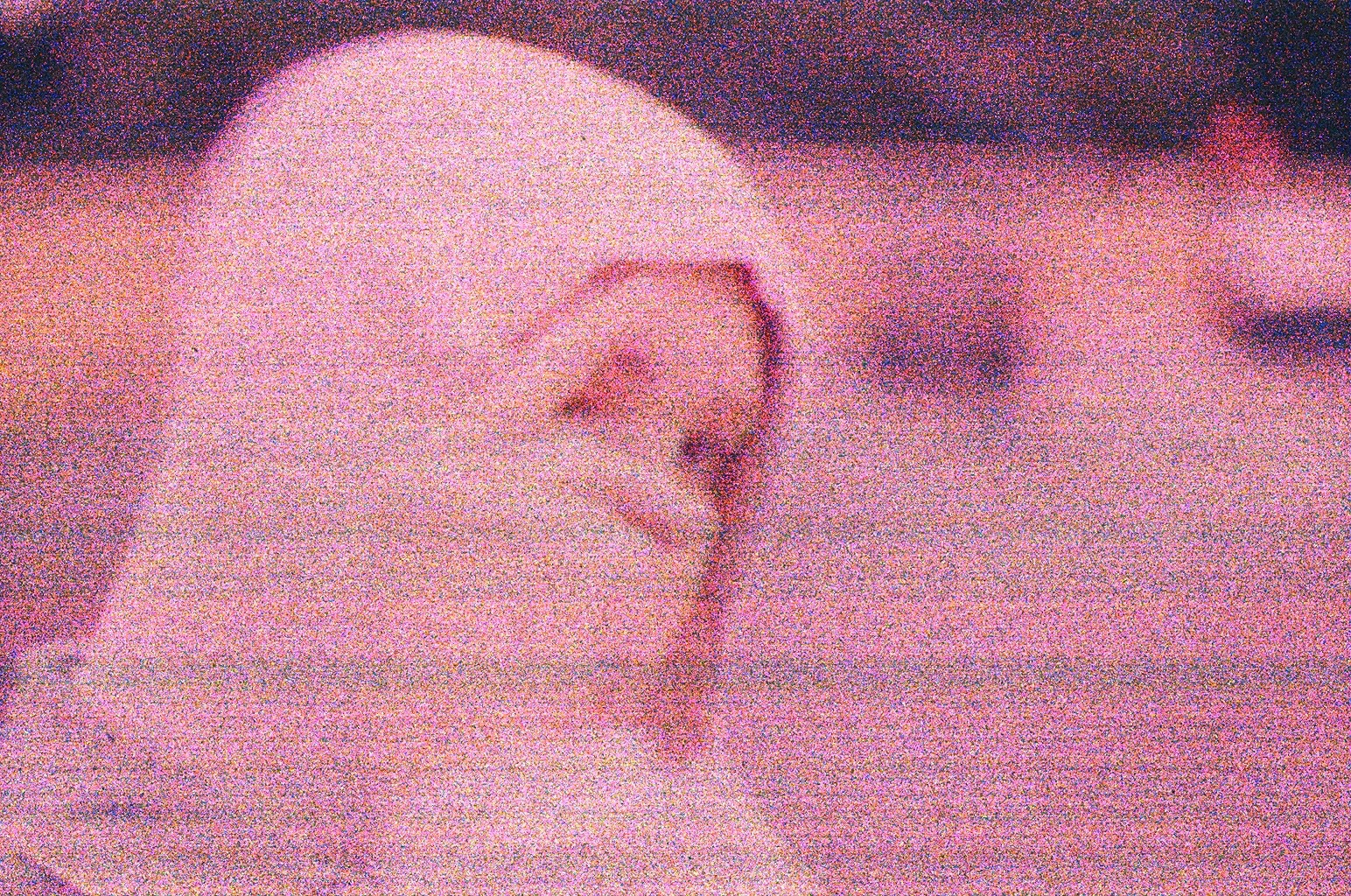 40200003.jpg