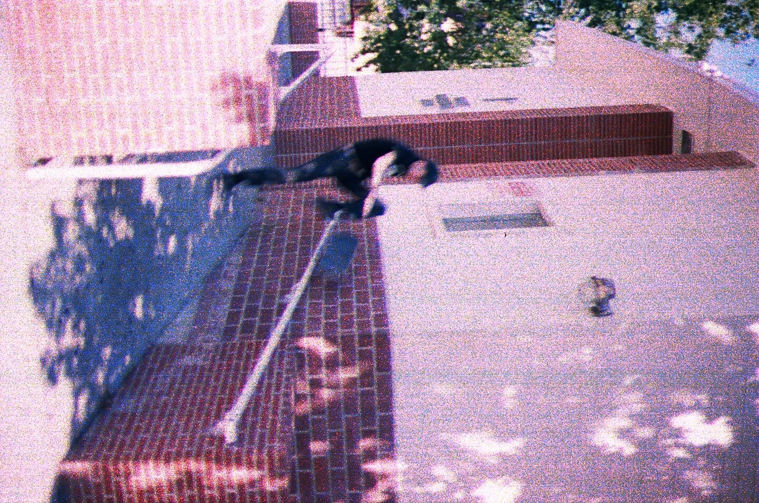 40200022.jpg