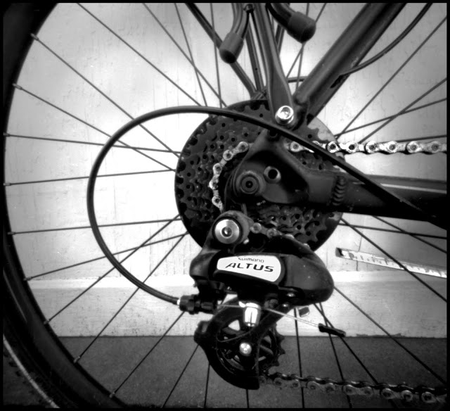 4233A16C-FED6-440E-8809-B85881B66039.jpeg