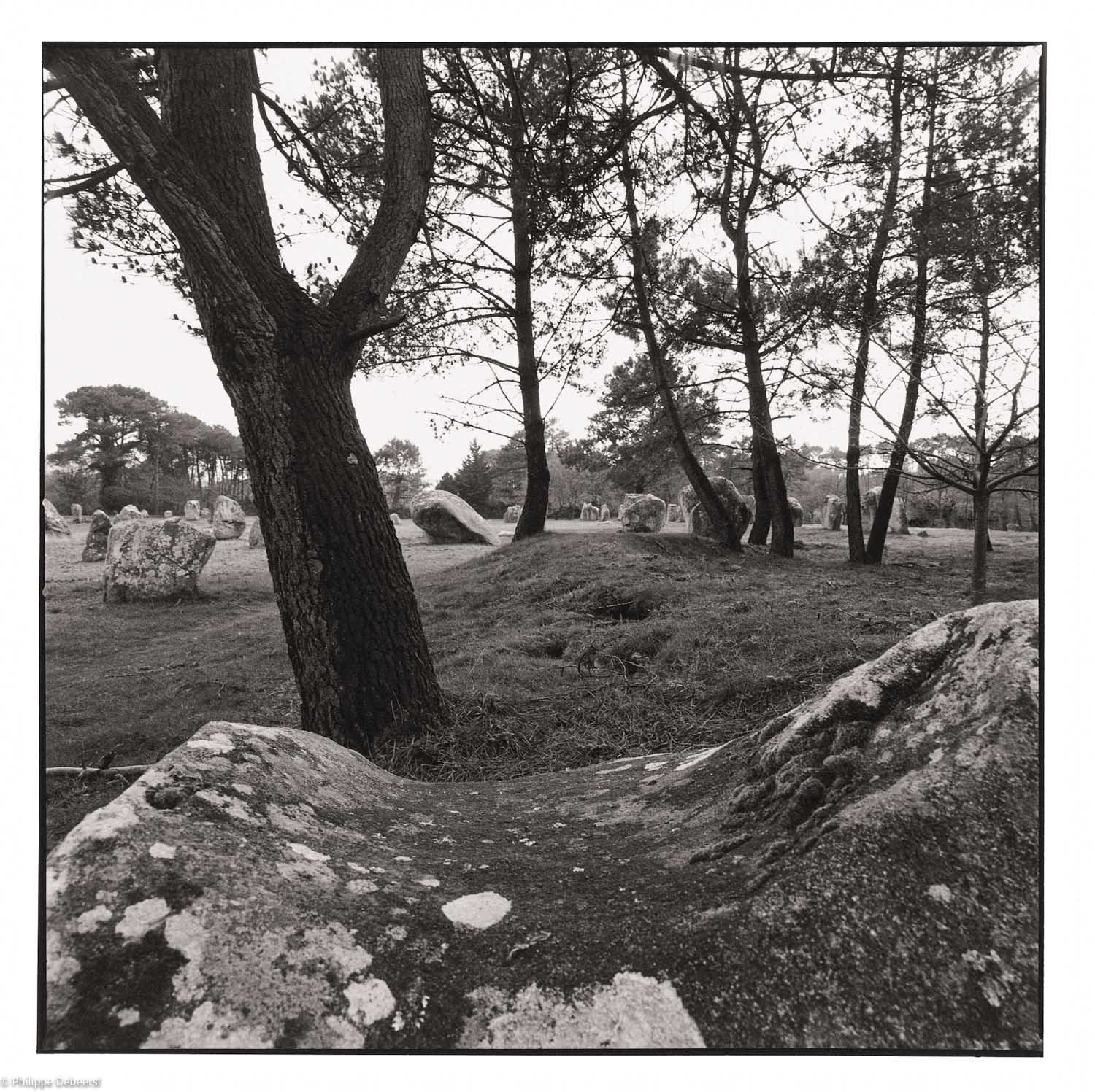 43-Megalieten.JPG