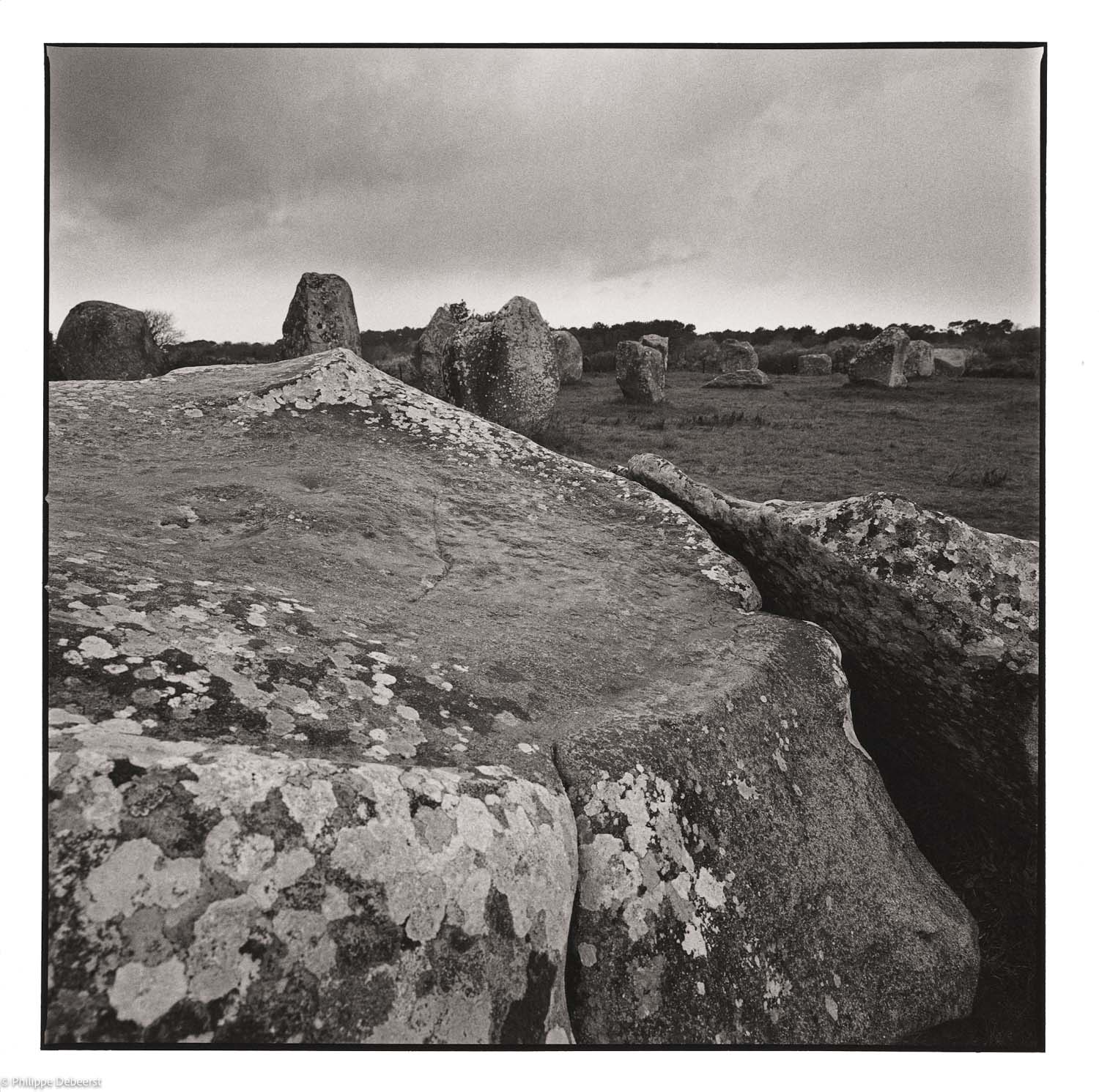 44-Megalieten.JPG