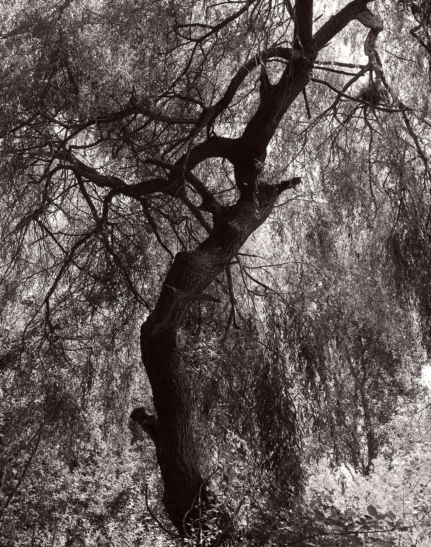 45d-2021-07-20-crop.jpg
