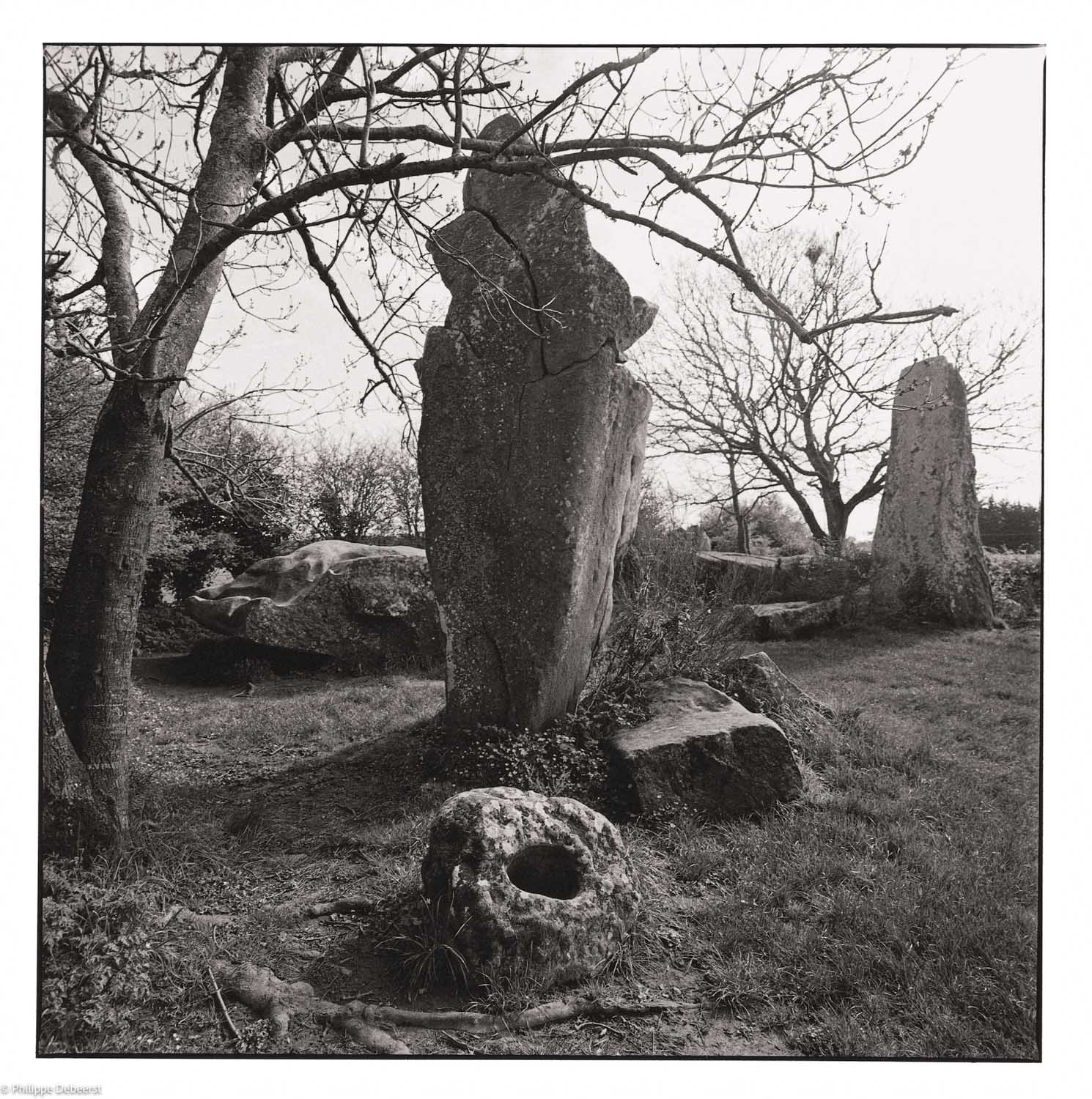49-Megalieten.JPG