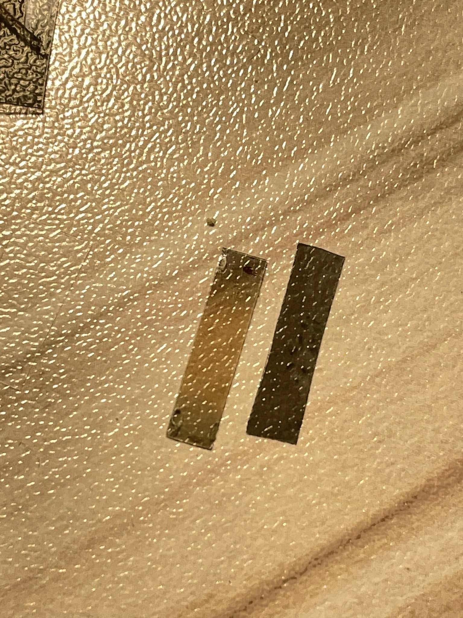 498713968_10238437856832241_1485403190374645542_n.jpg